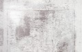 beto_gray-2.jpg