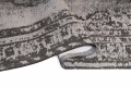 Altay silver_bok.JPG