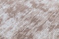 Lyon taupe_makro.JPG