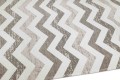 Vena taupe_fragment.JPG