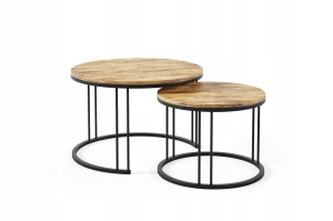2in1 Ragi hölzerne Metallmoderne Couchtisch-Satz