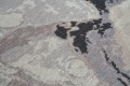 dywan_carpet_decor_fargotex.jpg